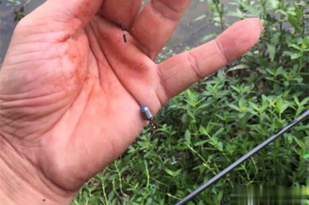是不错的选