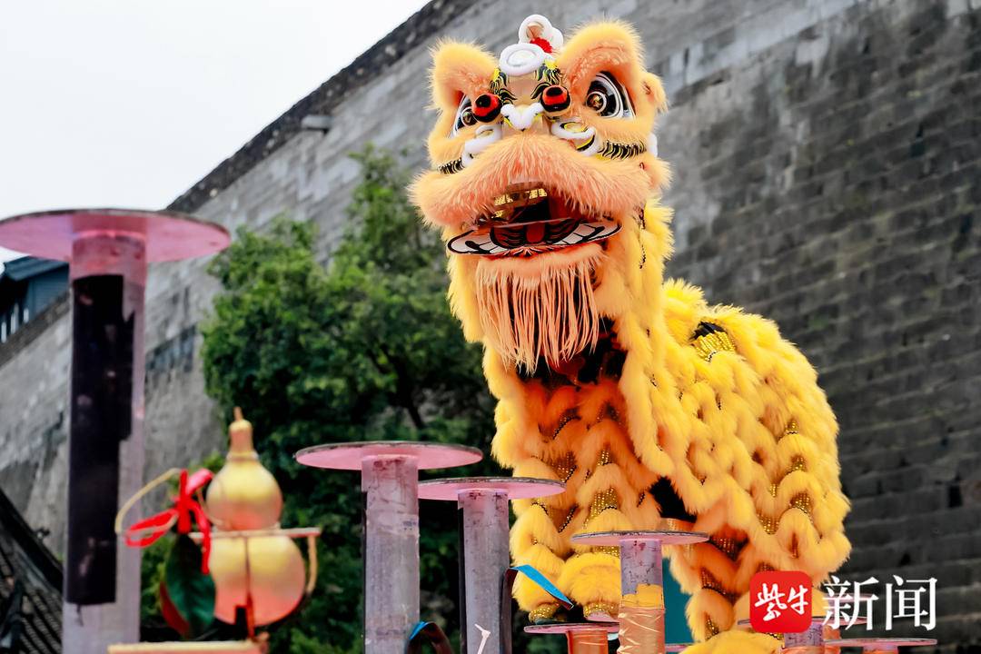 活力与深厚, forma