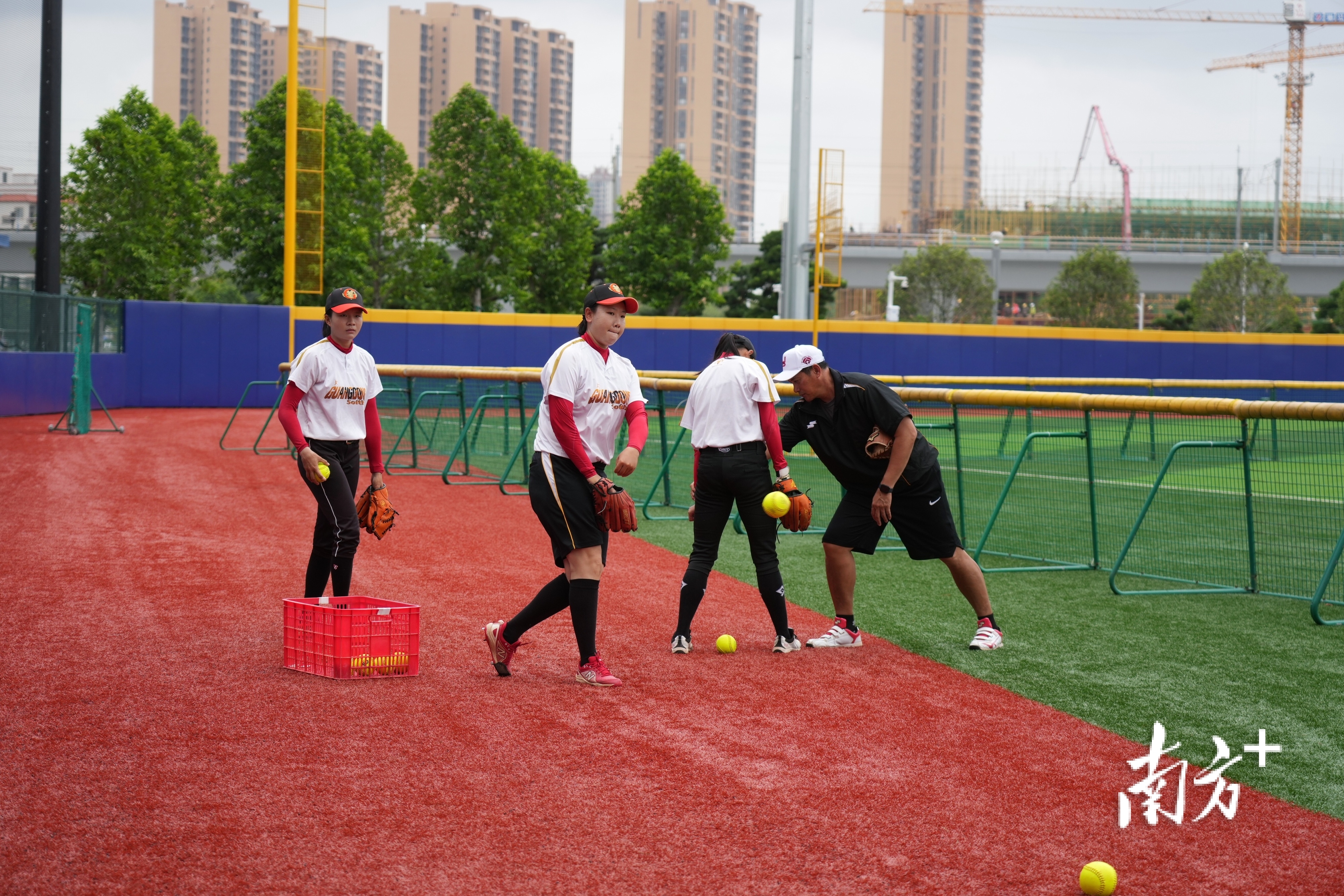 年轻队员, msn, 燕介绍 年轻队员, msn, 燕介绍