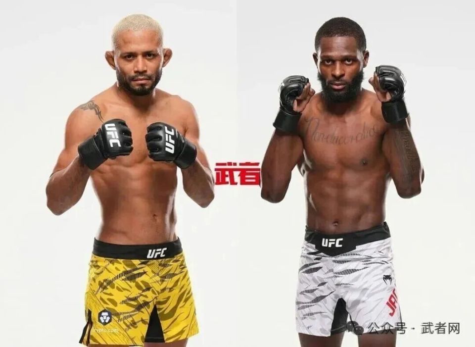 Gamro, 蒙特尔 Gamro, 蒙特尔