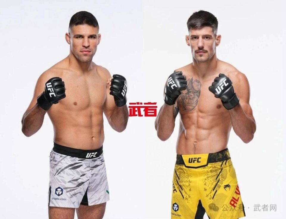 阿尔瓦雷兹, nter, 朱莉娅 阿尔瓦雷兹, nter, 朱莉娅